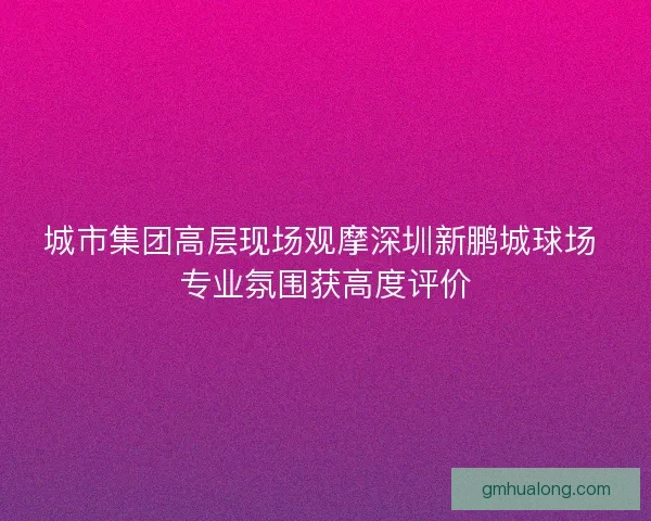 城市集团高层现场观摩深圳新鹏城球场 专业氛围获高度评价